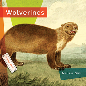 Cover Art for Wolverines