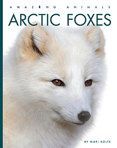 Cover Art for Arctic Foxes
