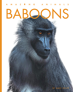 Cover Art for Baboons
