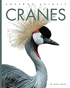 Cover Art for Cranes