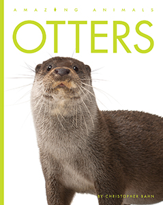 Cover Art for Otters