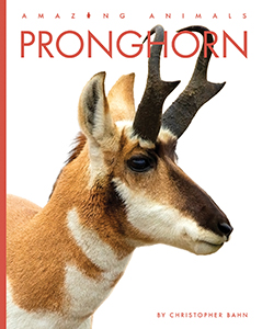 Cover Art for Pronghorn