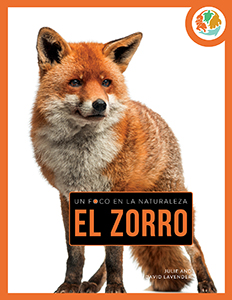 Cover Art for El zorro