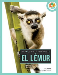 Cover Art for El Lemur