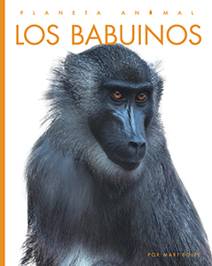 Cover Art for Los Babuinos