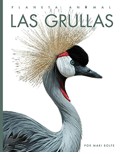 Cover Art for Las Grullas