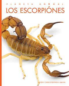 Cover Art for Los Escorpiones