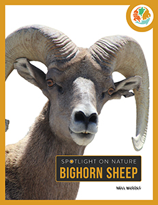 Cover Art for Bighorn Sheep