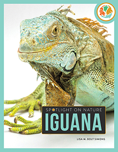 Cover Art for Iguana