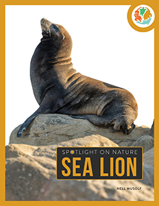 Cover Art for Sea Lion