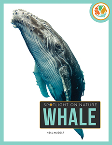 Cover Art for Whale