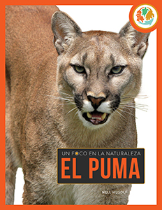 Cover Art for El puma