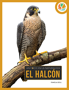 Cover Art for El halcun