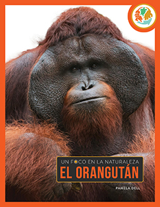 Cover Art for El orangutcn