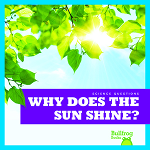 Cover Art for Why Does the Sun Shine?