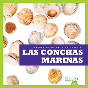 Cover Art for Las conchas marinas (Seashells)