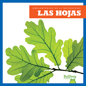 Cover Art for Las hojas (Leaves)
