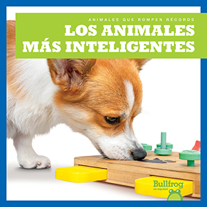 Cover Art for Los animales mçs inteligentes (Smartest Animals)