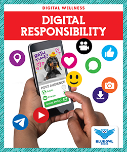 Cover Art for Digital Responsibility