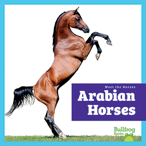Cover Art for Arabian Horses