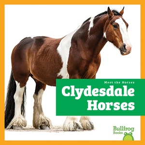 Cover Art for Clydesdale Horses