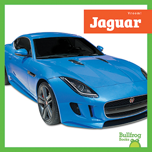 Cover Art for Jaguar