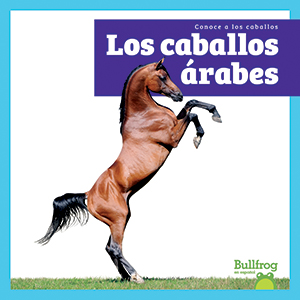 Cover Art for Los caballos arabes (Arabian Horses)
