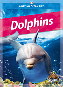 Cover Art for Dolphins