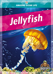 Cover Art for Jellyfish