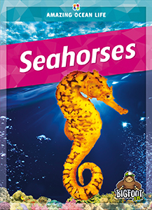 Cover Art for Seahorses