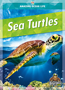Cover Art for Sea Turtles