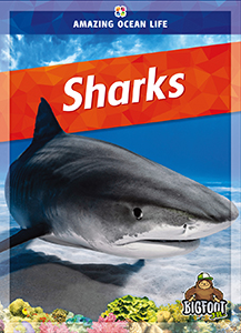 Cover Art for Sharks