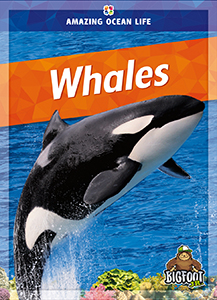 Cover Art for Whales