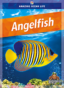 Cover Art for Angelfish