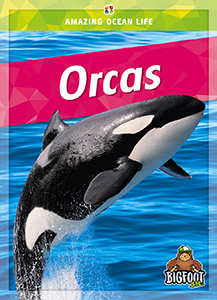 Cover Art for Orcas