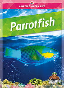 Cover Art for Parrotfish