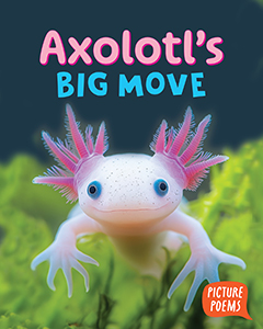 Cover Art for Axolotl's Big Move
