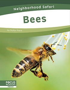 Cover Art for Bees