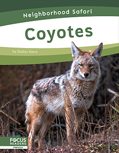 Cover Art for Coyotes