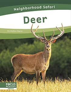 Cover Art for Deer
