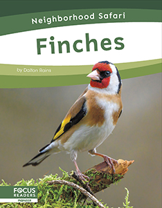 Cover Art for Finches