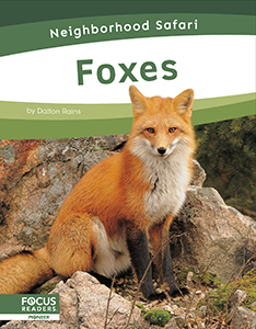 Cover Art for Foxes