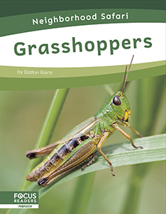 Cover Art for Grasshoppers