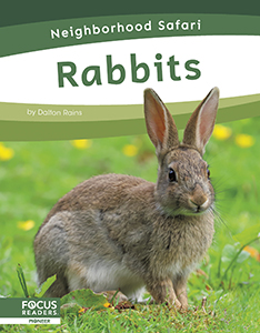 Cover Art for Rabbits