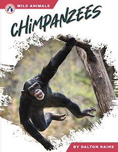Cover Art for Chimpanzees