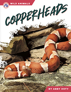 Cover Art for Copperheads