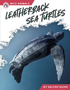 Cover Art for Leatherback Sea Turtles