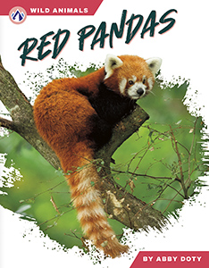 Cover Art for Red Pandas