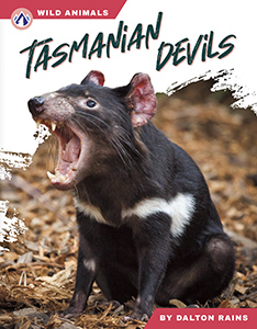 Cover Art for Tasmanian Devils