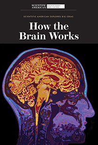 Cover Art for How the Brain Works